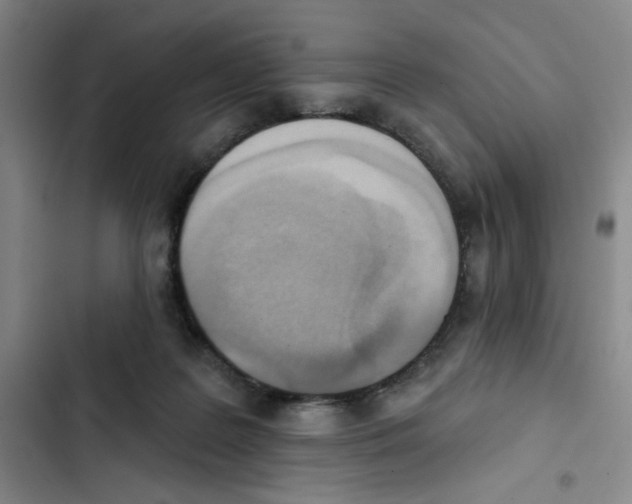X0000102870219200809151243