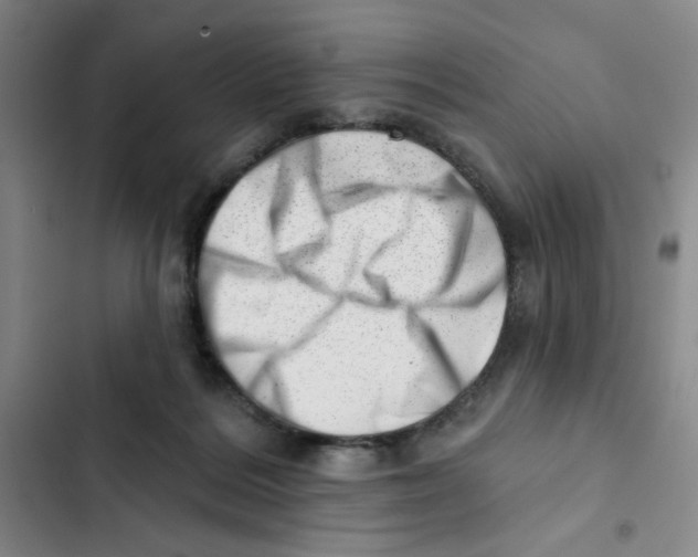 X0000102870220200809151243