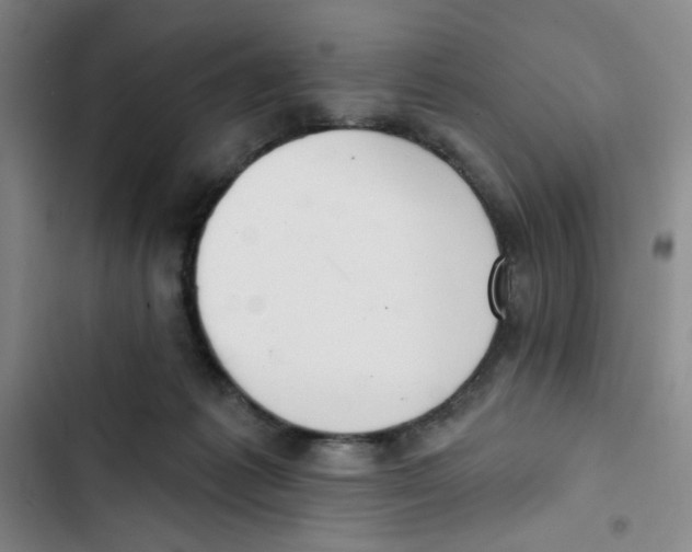 X0000102870221200809151243