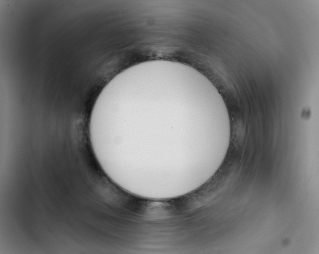X0000102870222200809151243
