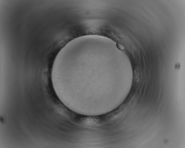 X0000102870223200809151243