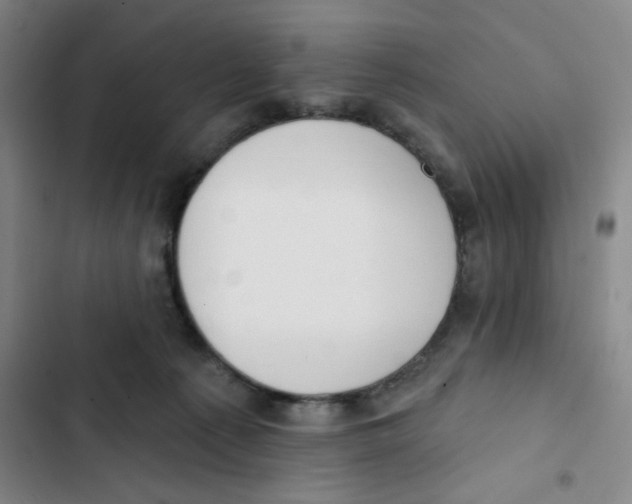 X0000102870225200809151243