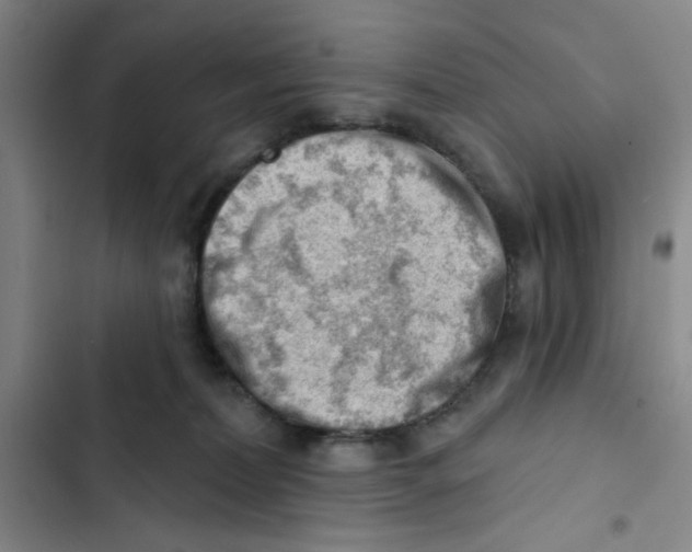 X0000102870228200809151243