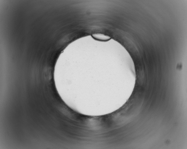 X0000102870232200809151242