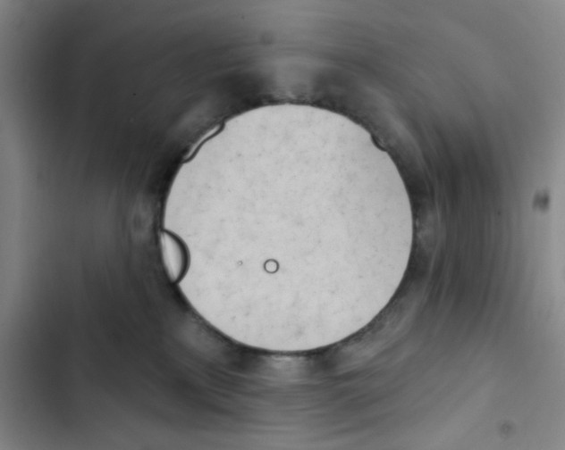 X0000102870233200809151242