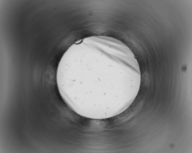 X0000102870234200809151242