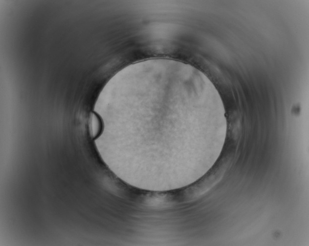 X0000102870235200809151242