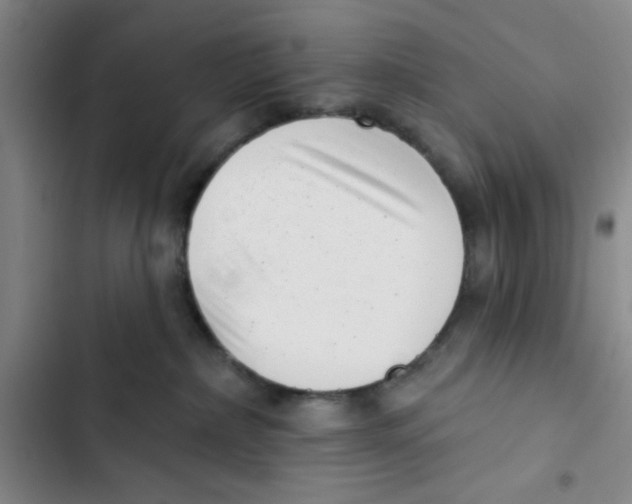 X0000102870236200809151242