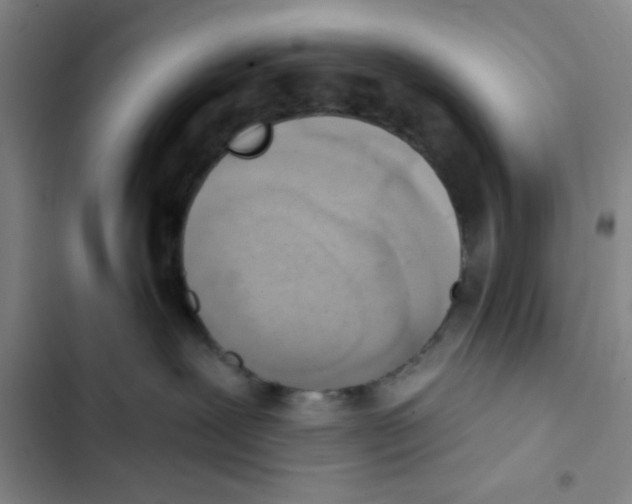 X0000102870239200809151242