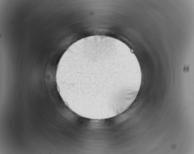 X0000102870240200809151242