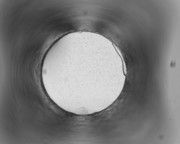 X0000102870241200809151242
