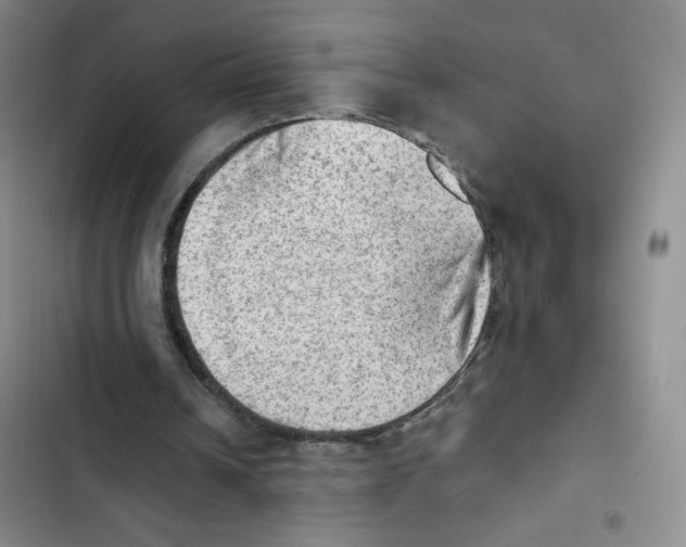 X0000102870242200809151242
