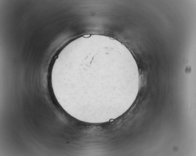X0000102870243200809151242