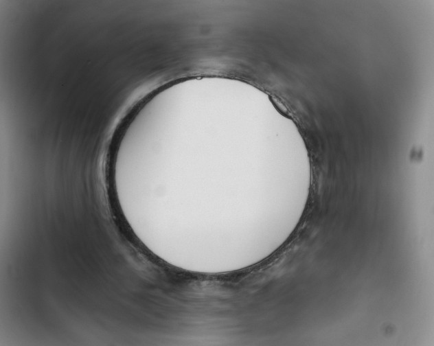X0000102870244200809151242