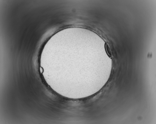 X0000102870245200809151242