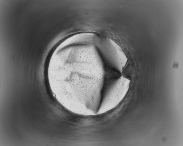 X0000102870246200809151242