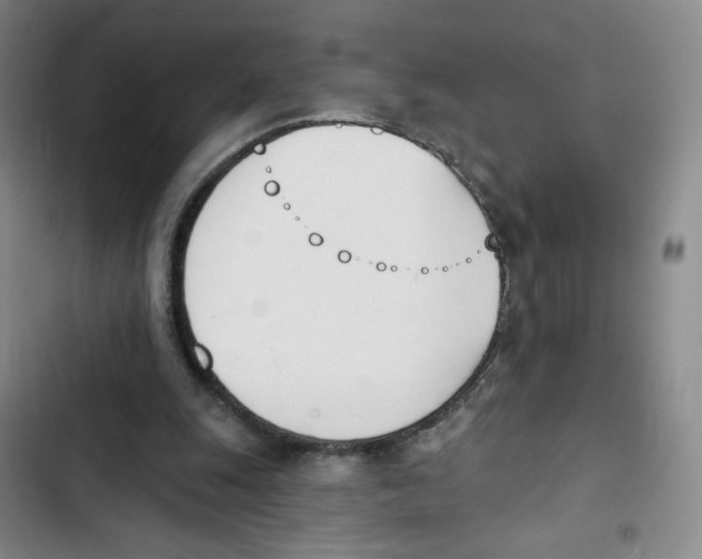X0000102870247200809151242