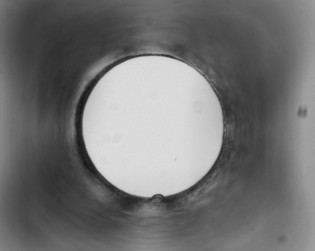X0000102870248200809151242