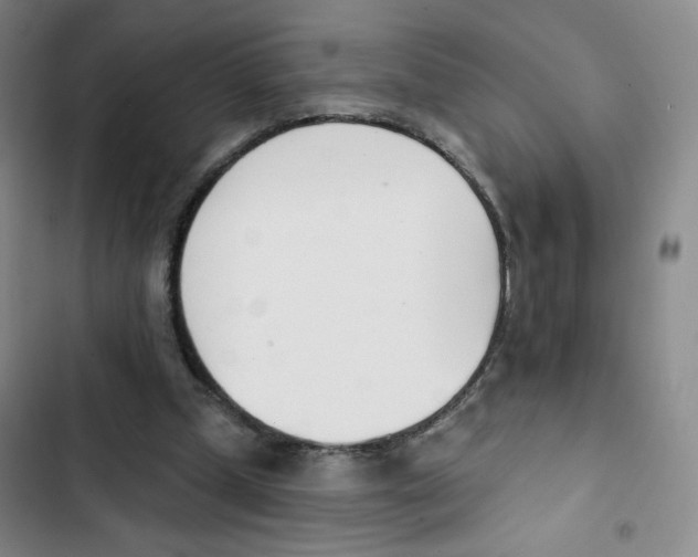 X0000102870249200809151242