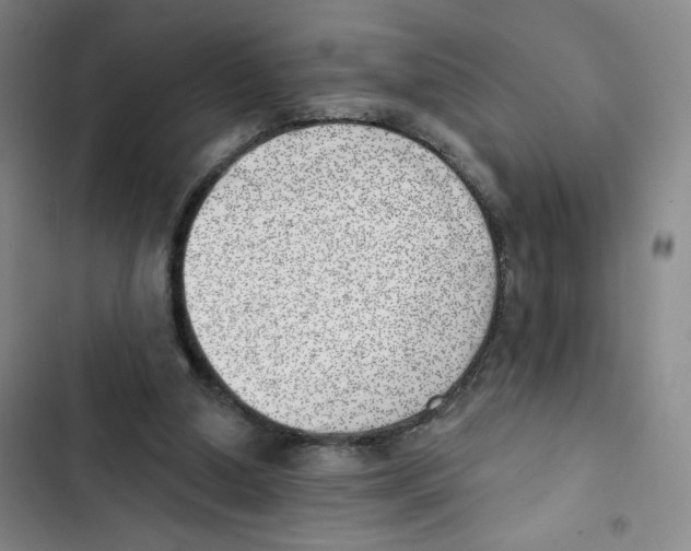 X0000102870250200809151242