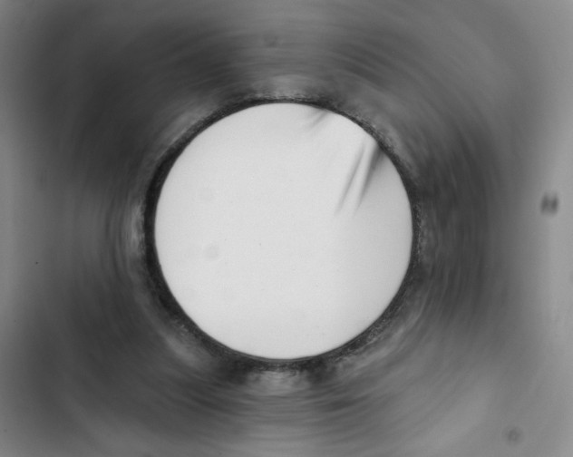 X0000102870251200809151242