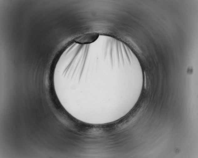 X0000102870252200809151242