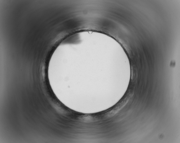X0000102870253200809151242