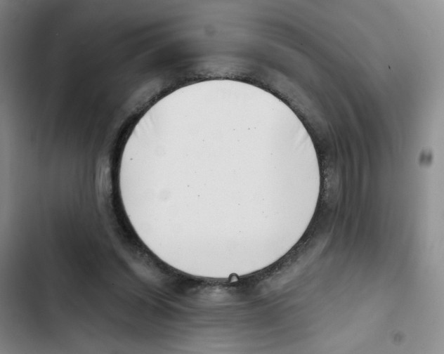 X0000102870254200809151242