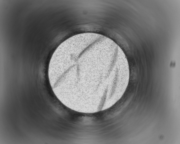 X0000102870255200809151242
