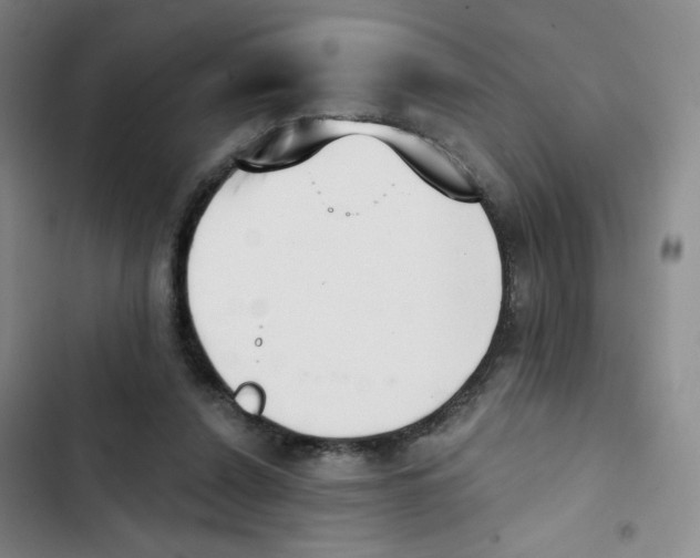 X0000102870256200809151242