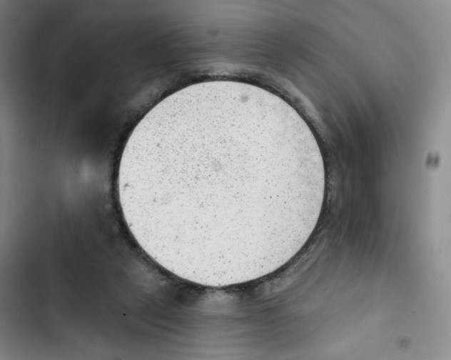 X0000102870257200809151242