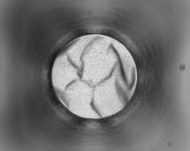 X0000102870258200809151242