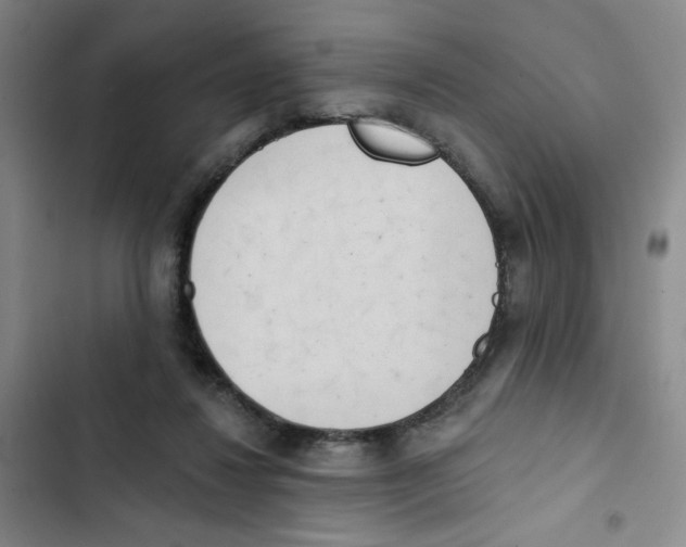 X0000102870260200809151242