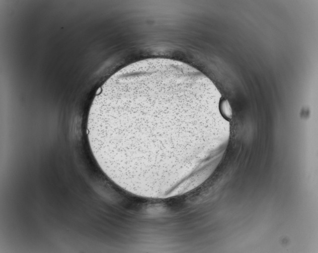 X0000102870262200809151242
