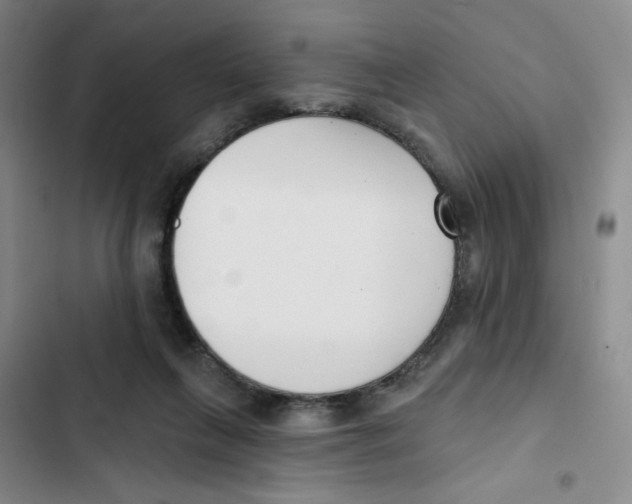 X0000102870263200809151242