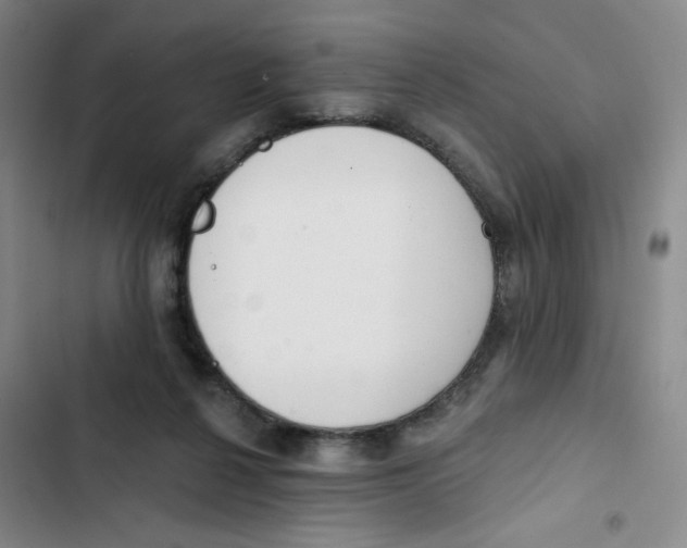 X0000102870264200809151242