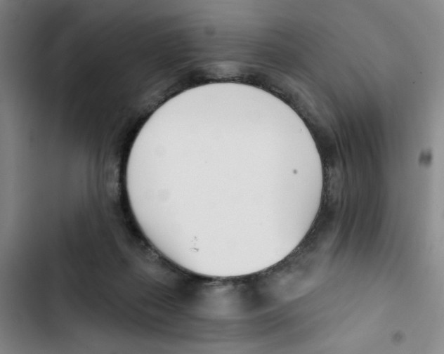 X0000102870267200809151242