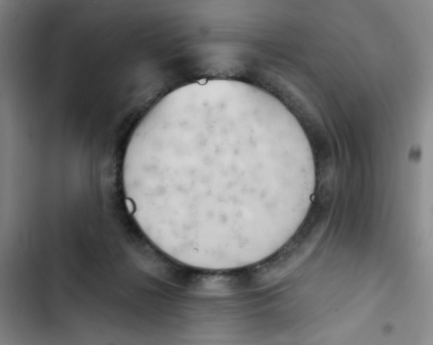 X0000102870268200809151242