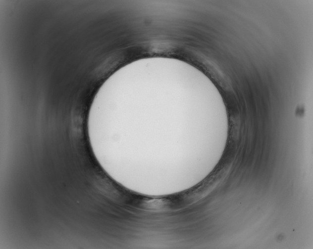 X0000102870269200809151242