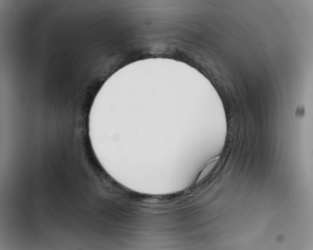 X0000102870272200809151242