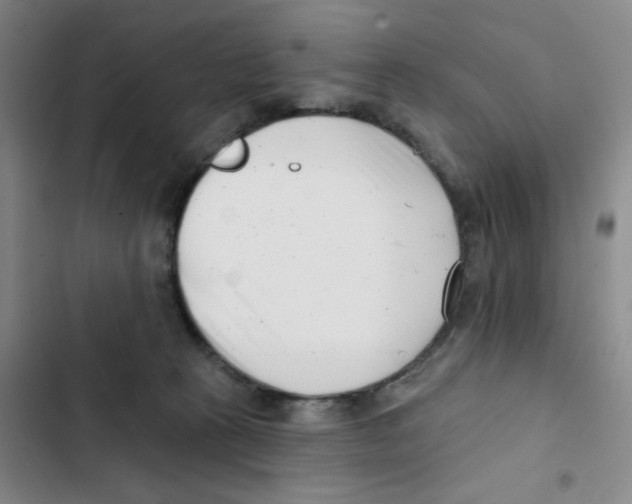 X0000102870273200809151242