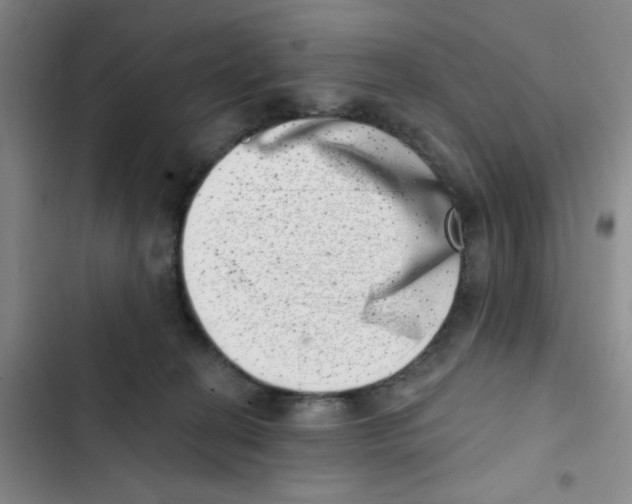 X0000102870274200809151242