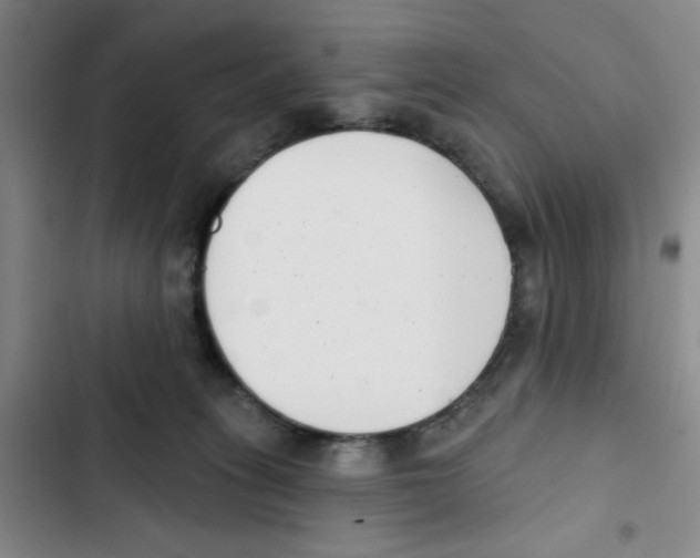 X0000102870275200809151242