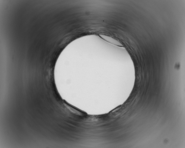 X0000102870276200809151242