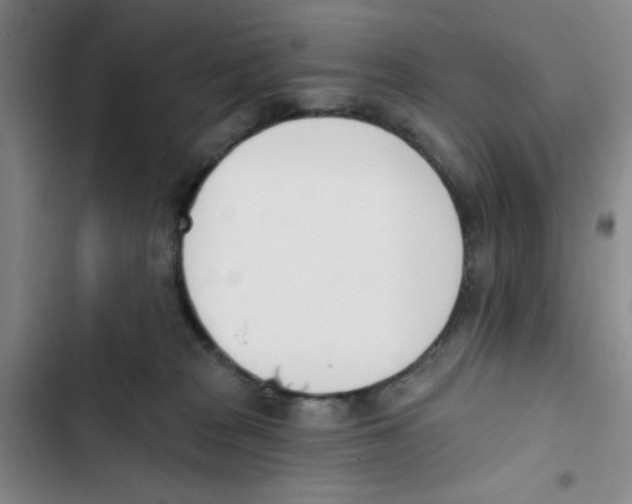 X0000102870277200809151242