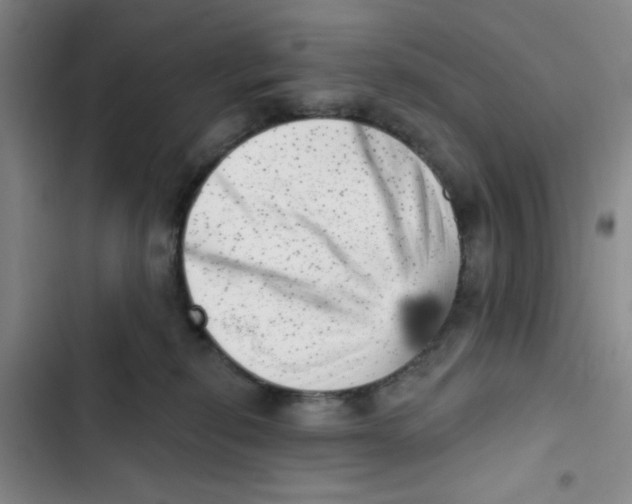 X0000102870278200809151242