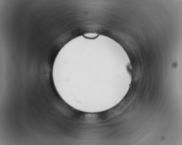 X0000102870279200809151242