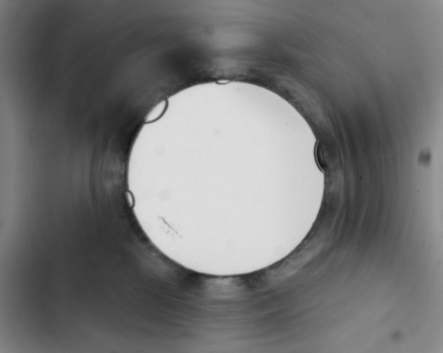 X0000102870281200809151242