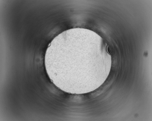 X0000102870282200809151242