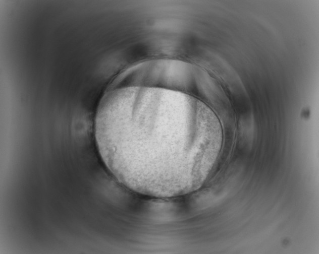 X0000102870284200809151242
